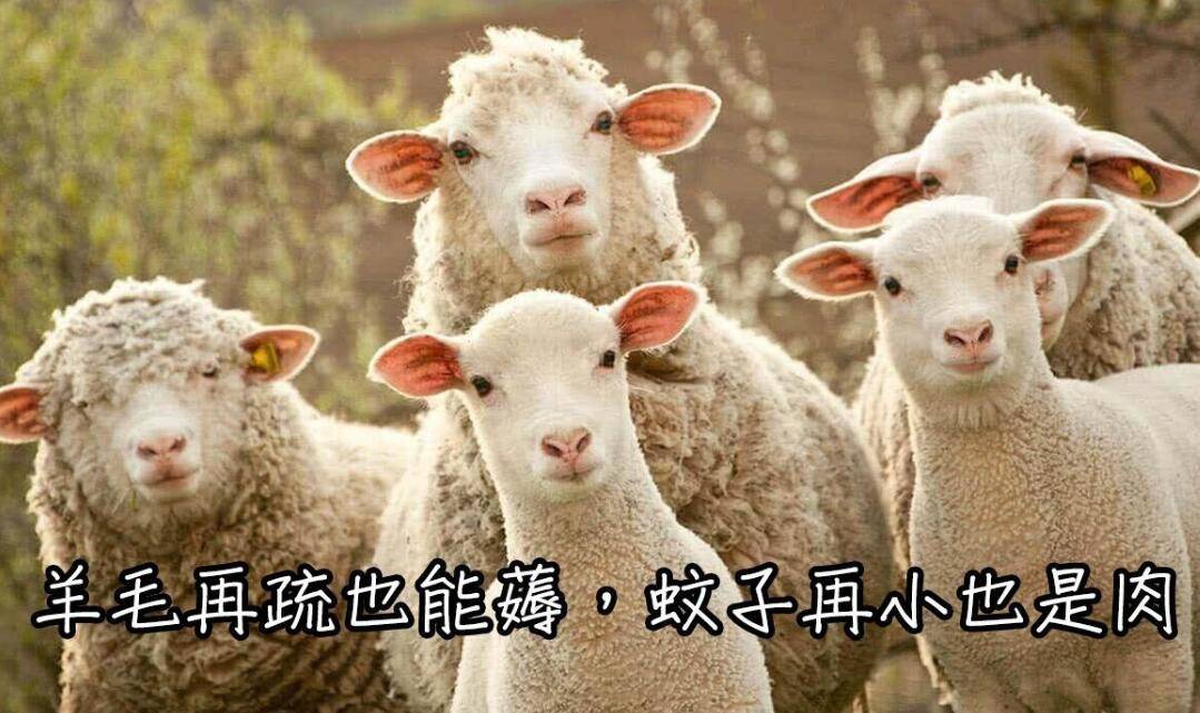 羊毛社苹果版苹果应用商店官网入口-第2张图片-太平洋在线下载